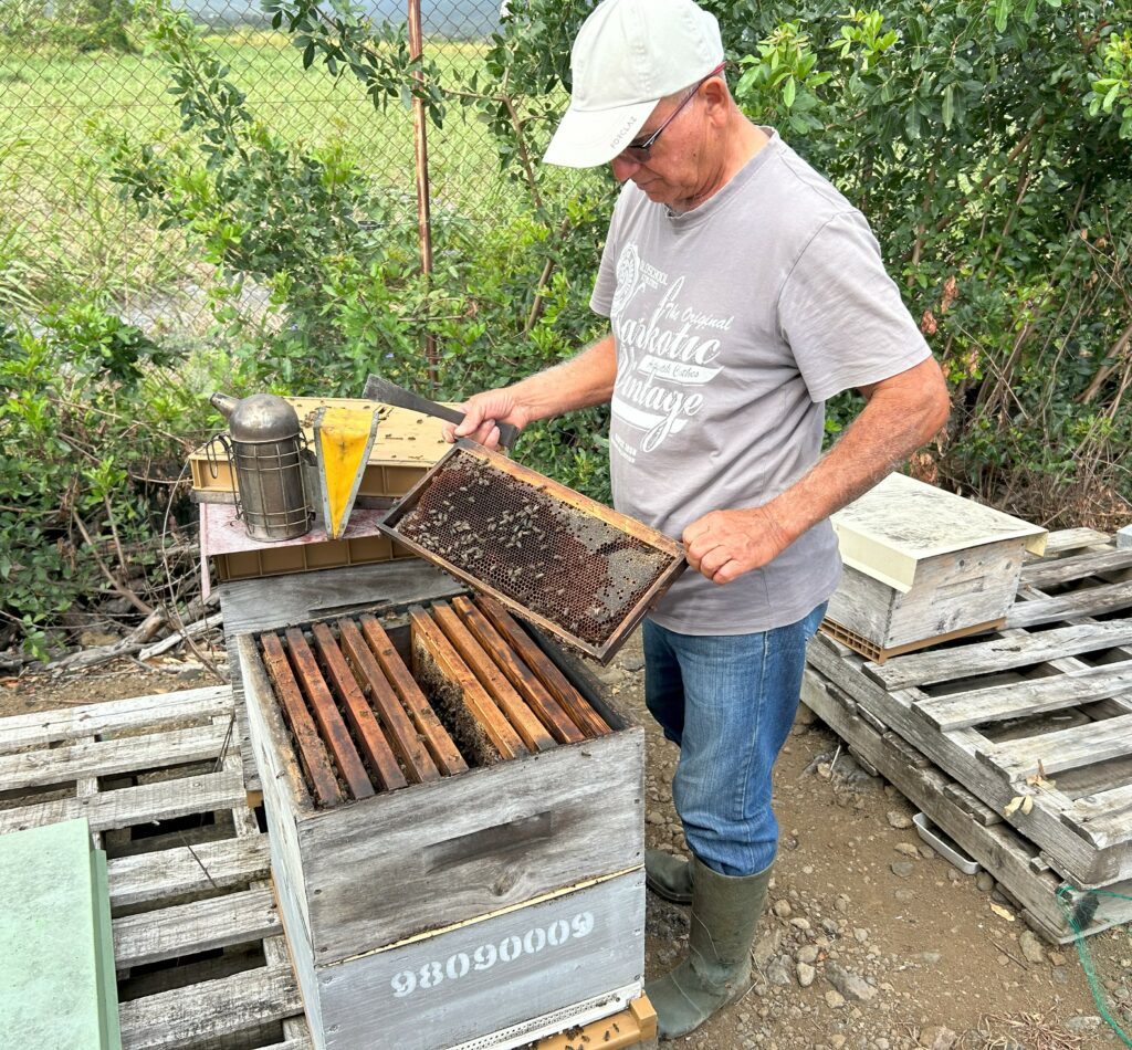 Photo de l'apiculteur devant ruchers